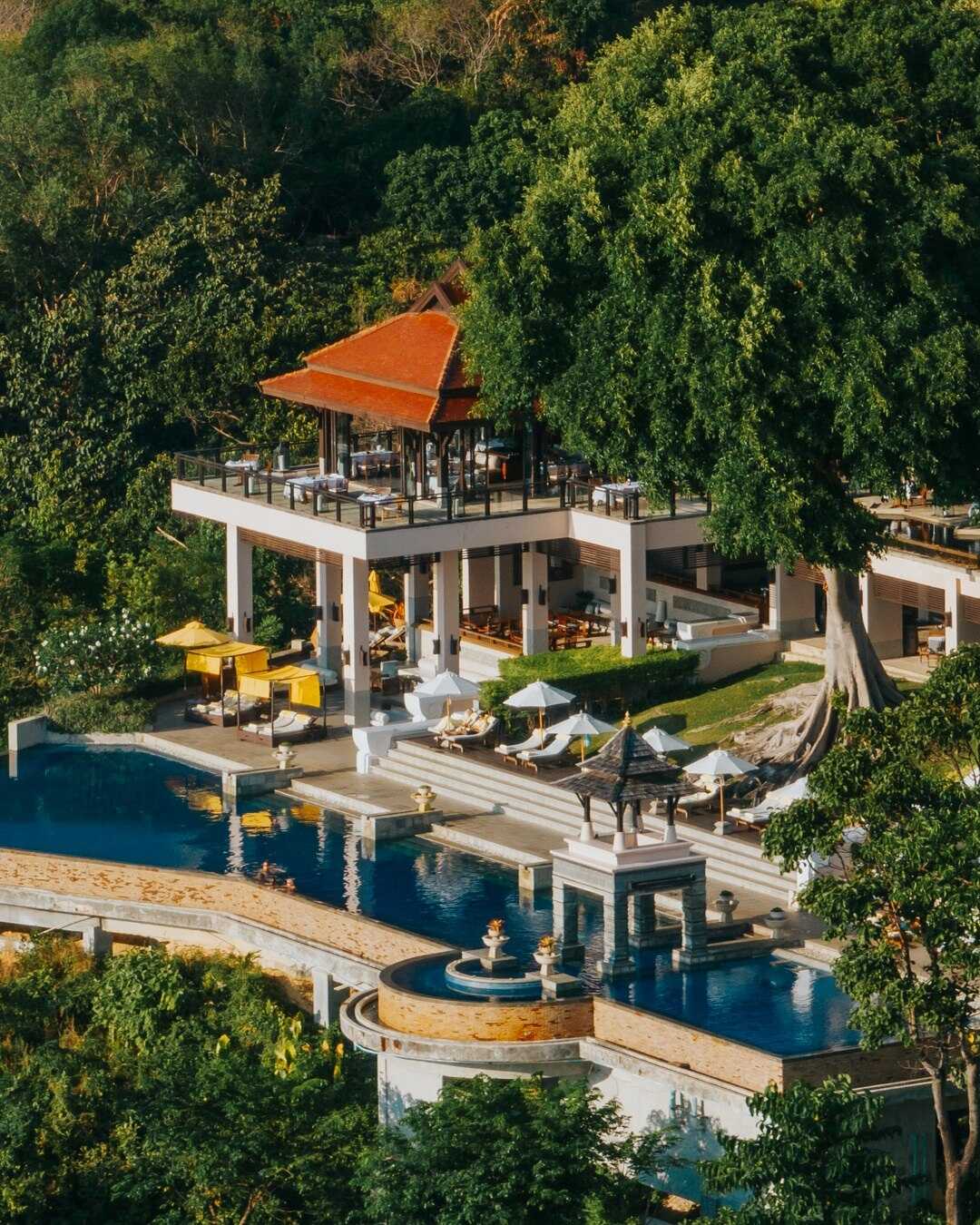 .jpg