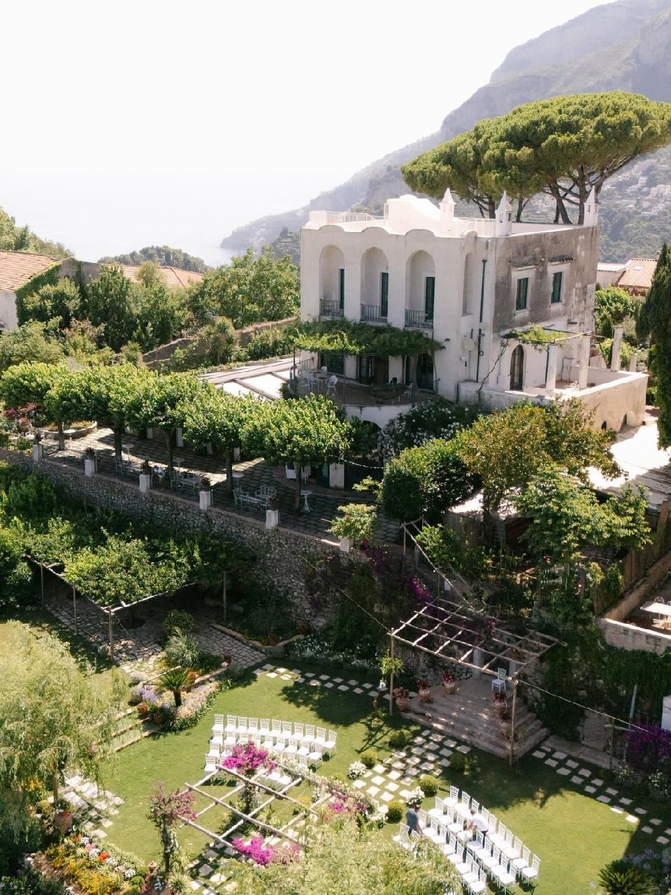 .jpg