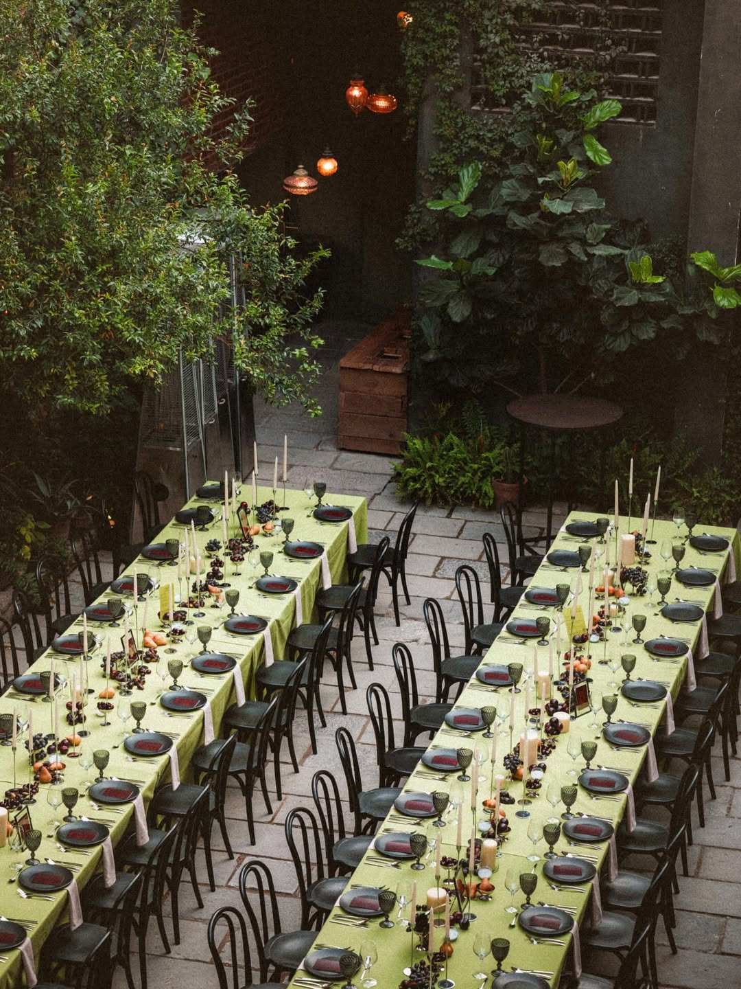 .jpg