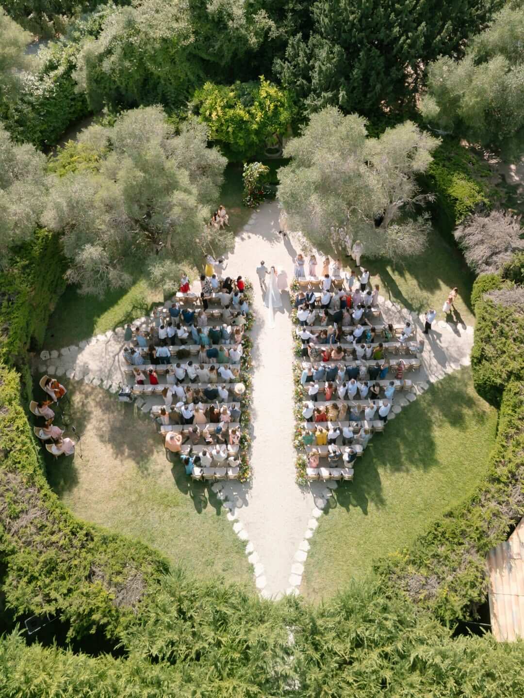 .jpg
