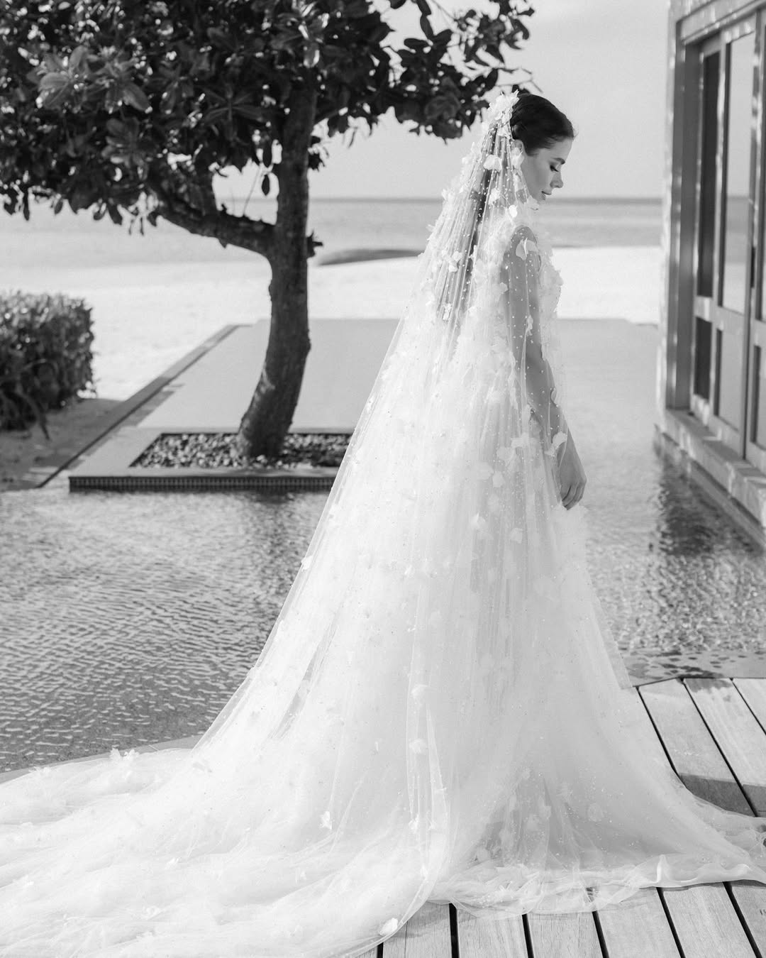 @alexchungphotography.jpg