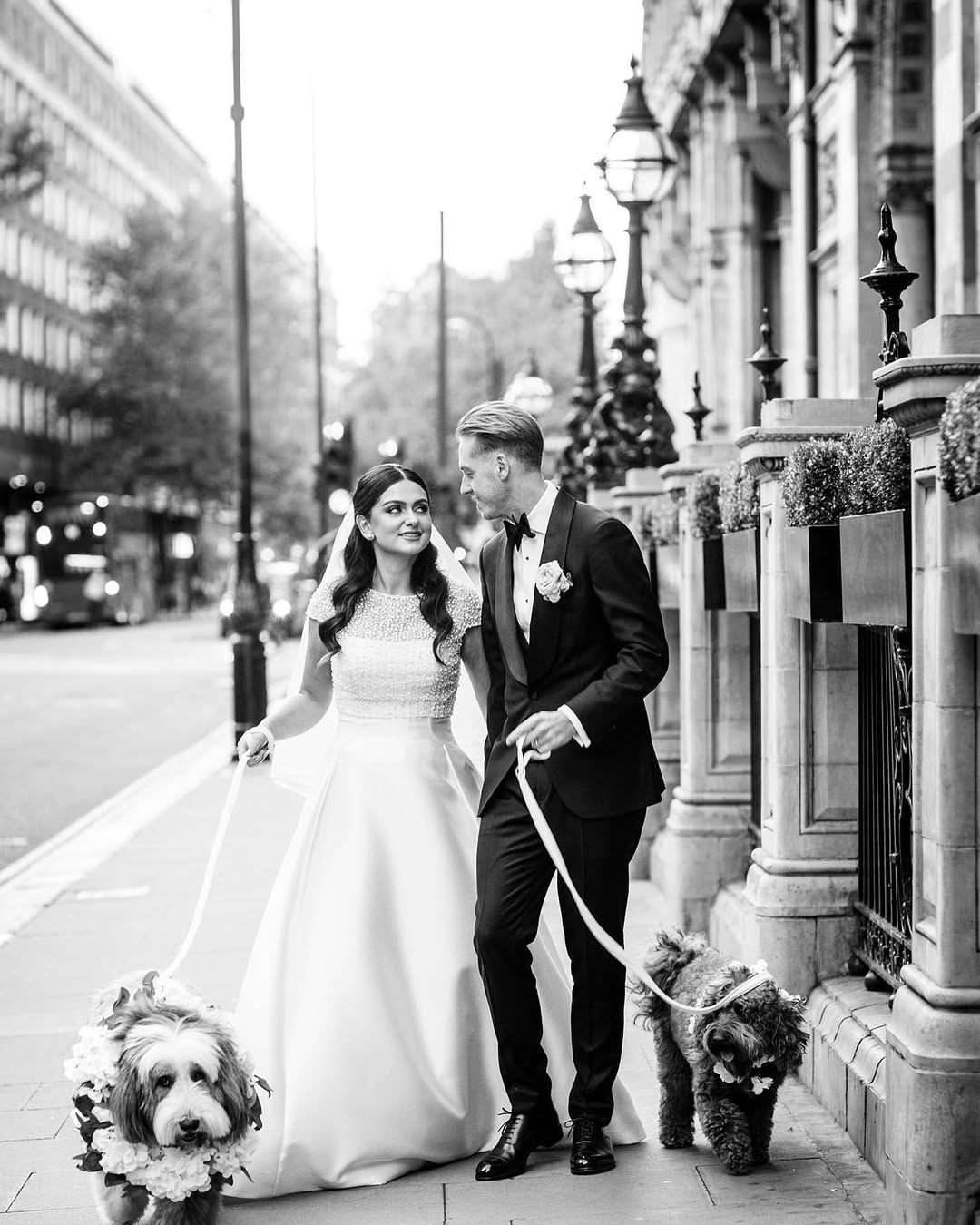 @alexchungphotography @alexchungphotography.jpg