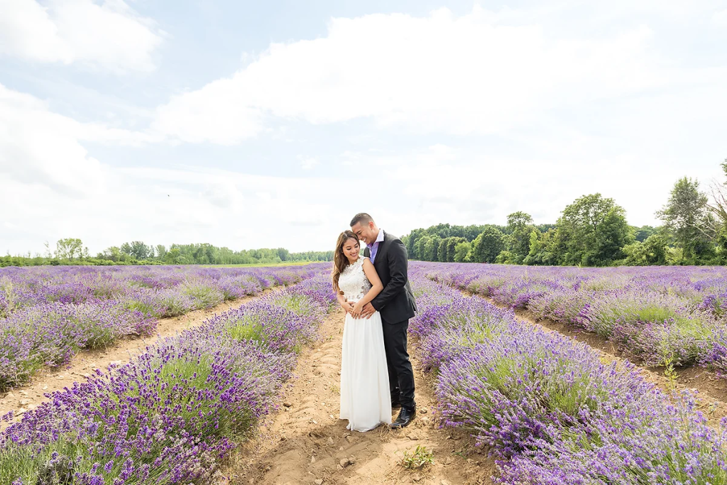 lavender luxurymomentphotography.jpg