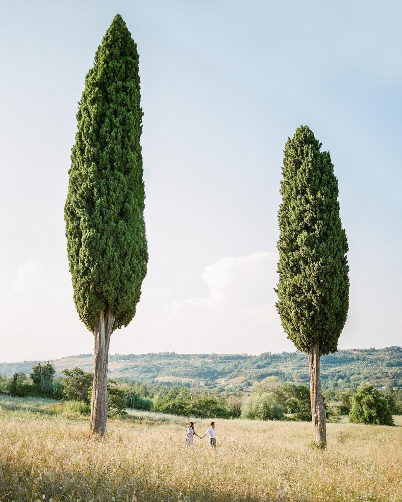 12. Tuscany oliverflyphotography.jpg