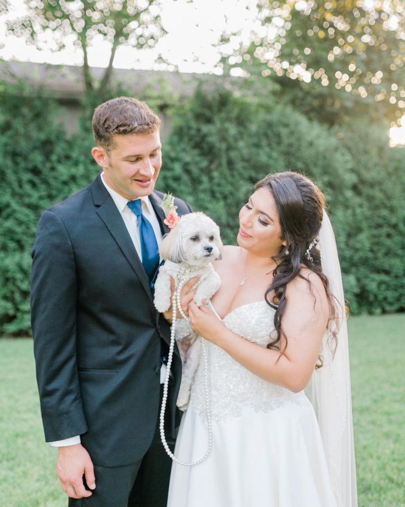 Animals at the wedding