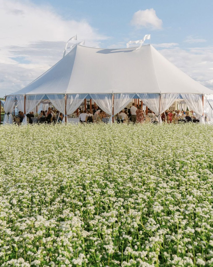 preview-planners-leda-anderson-events-portfolio-photo-548282.jpg