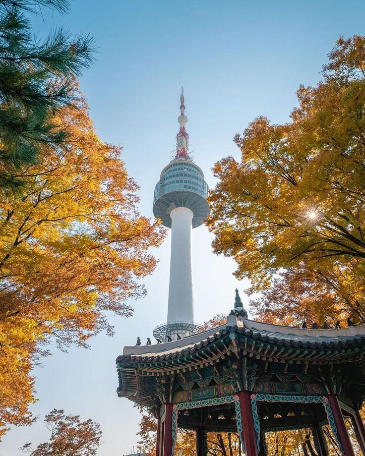 9_All roads lead to Namsan, Seoul, South Korea_ Is Seoul in your bucket list_.jpg