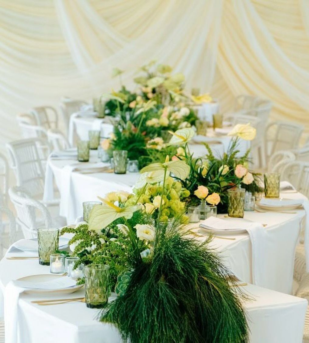 Nahid Global Events Planner Nahid Global Events Planner photo