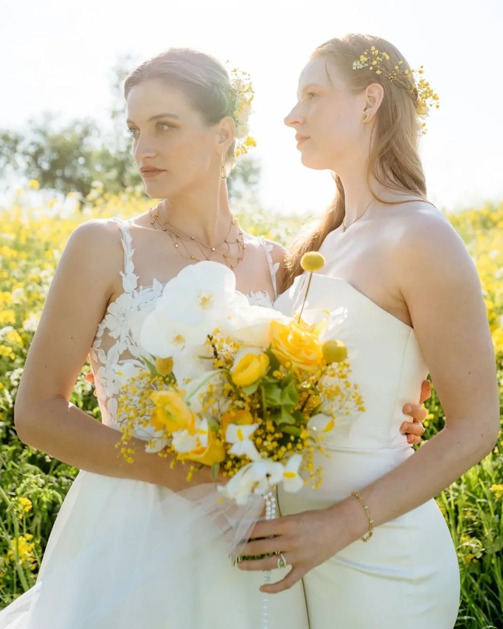 Wild Heart Tales Photographer photo