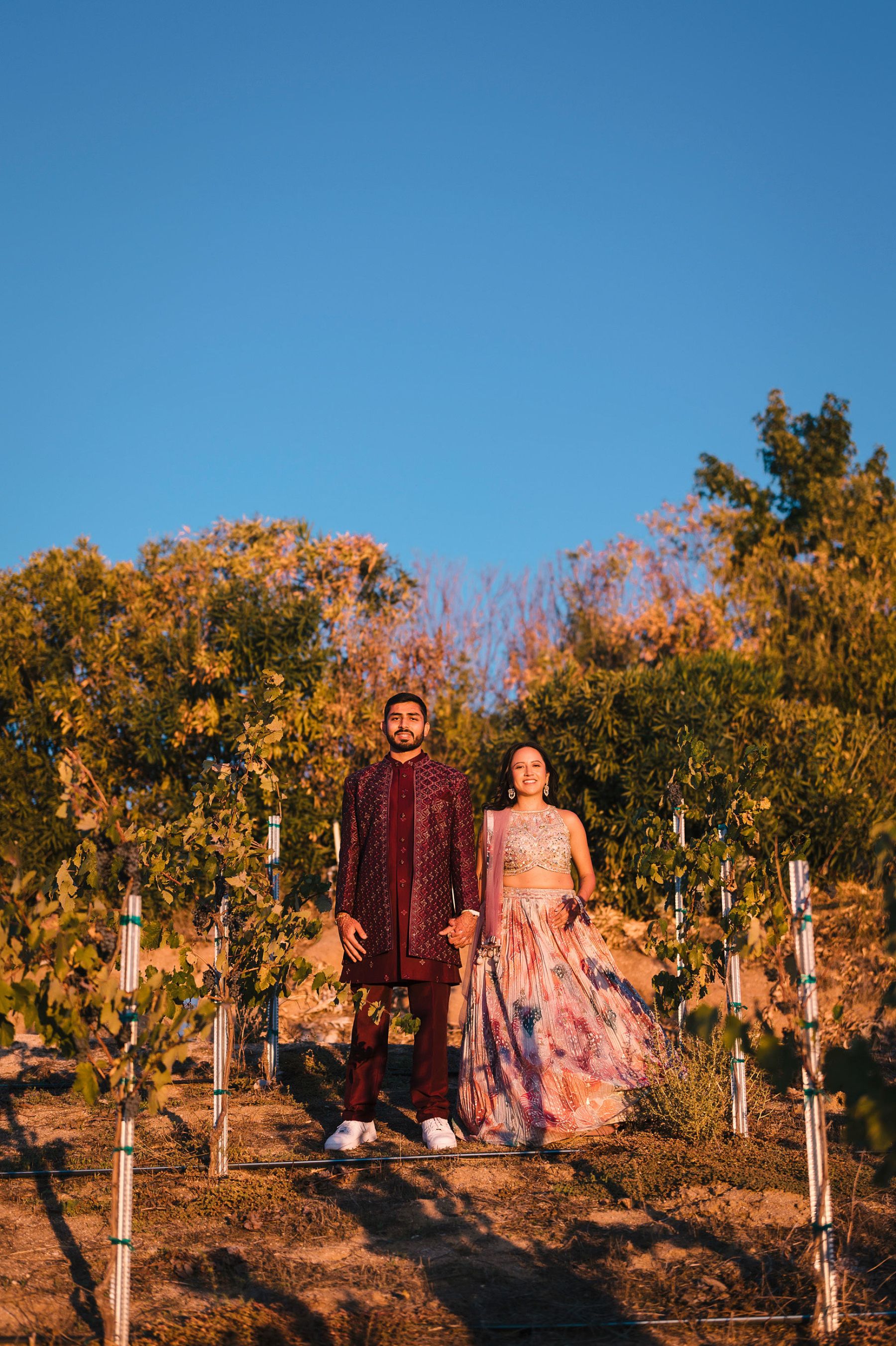 Zoey &amp; Deven's Elegant Indian Wedding at Mount Palomar Winery photo