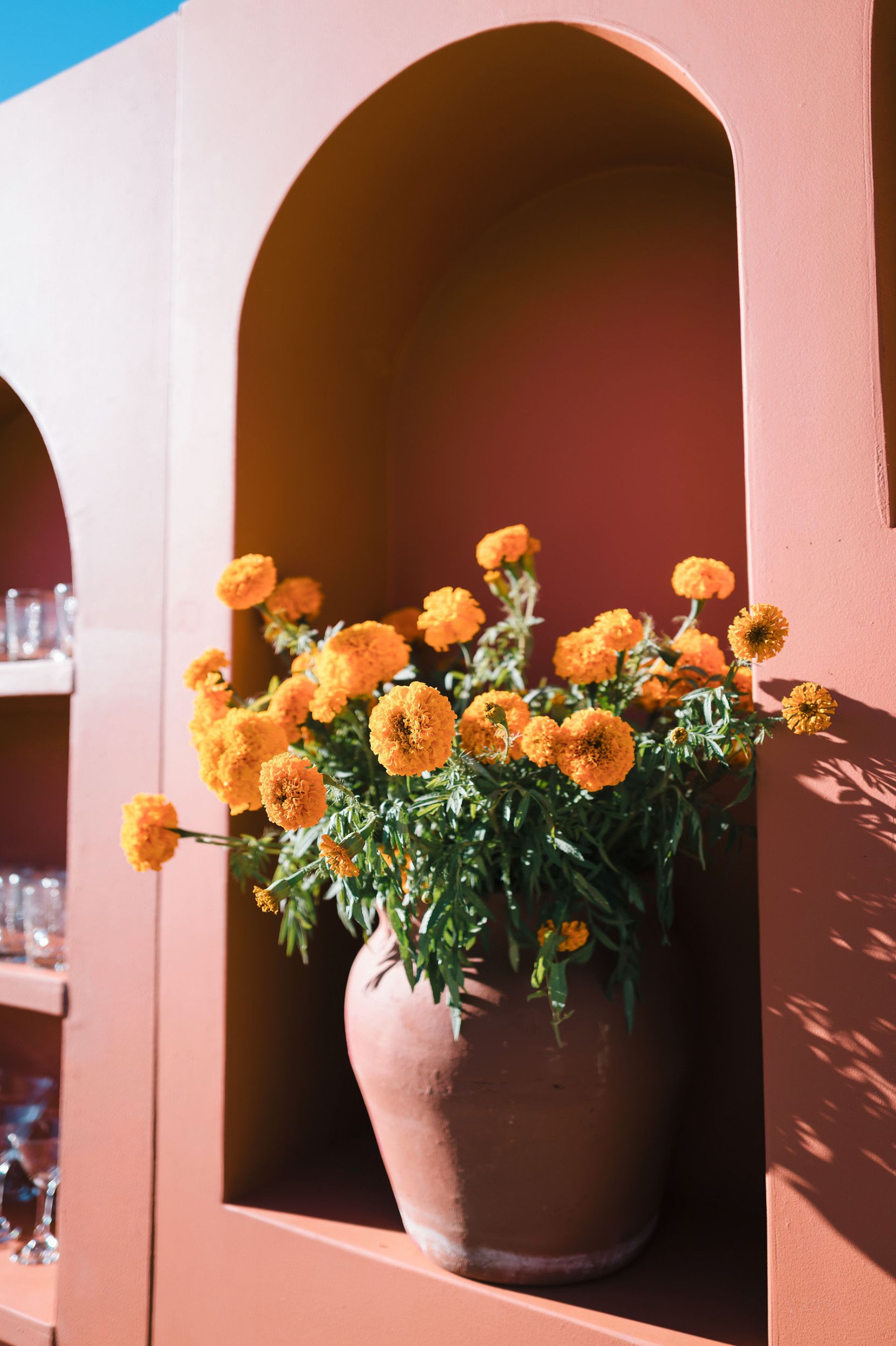 Zoey &amp; Deven's Elegant Indian Wedding at Mount Palomar Winery photo