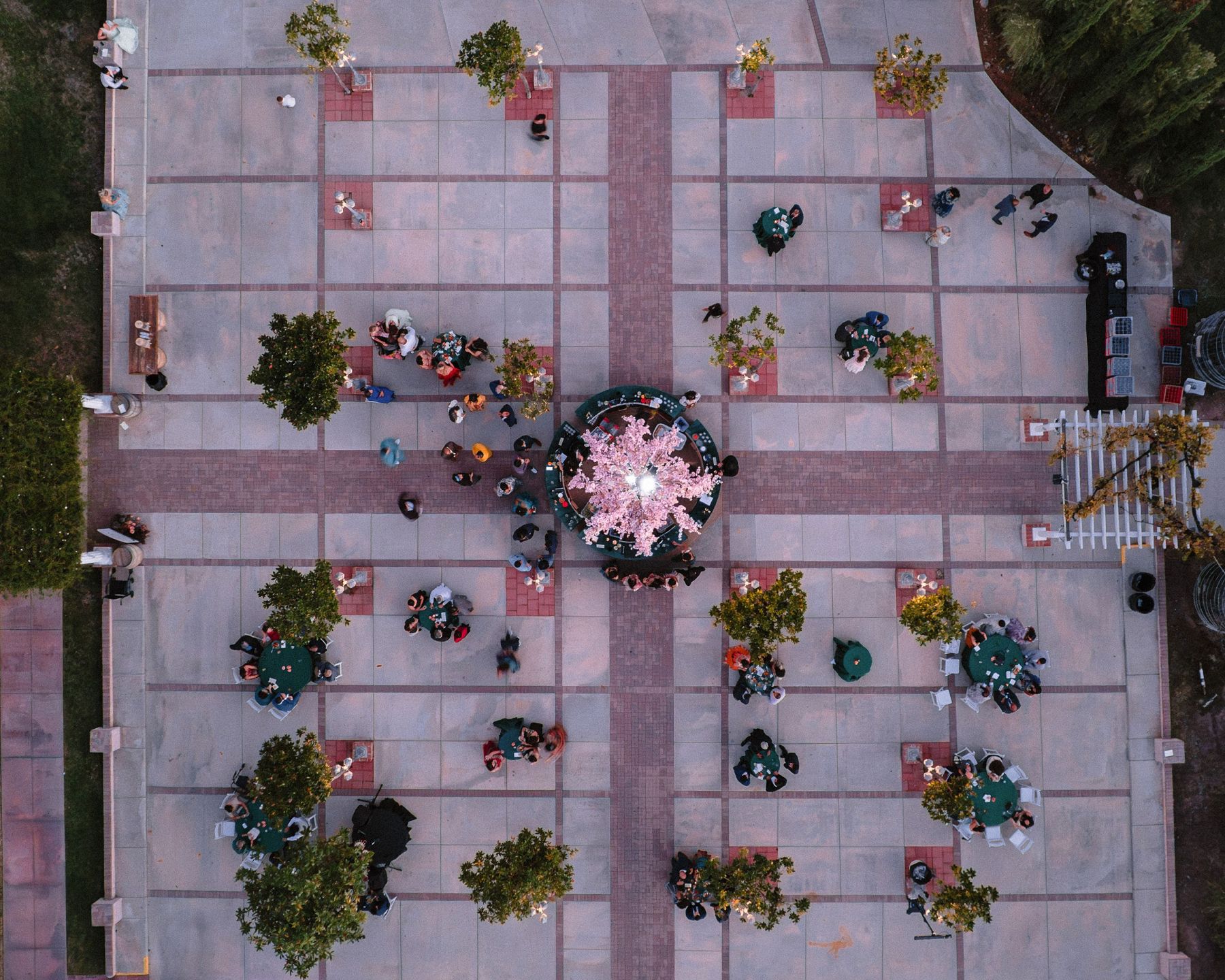 Zoey &amp; Deven's Elegant Indian Wedding at Mount Palomar Winery photo
