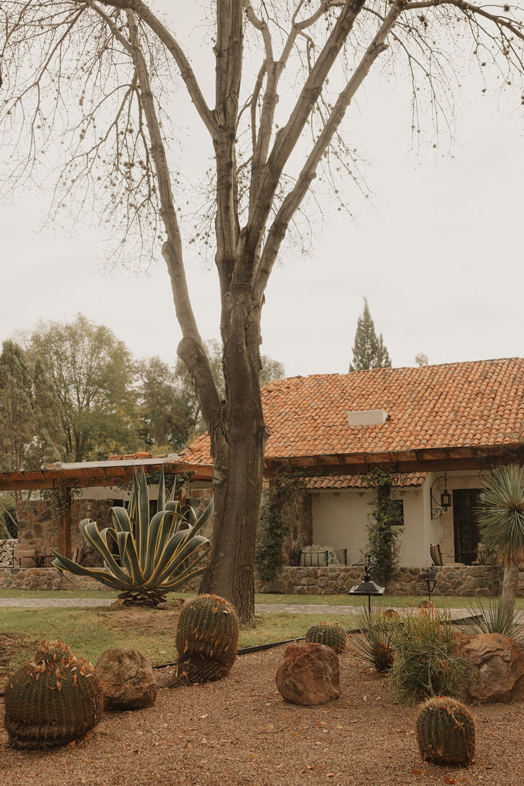 A Garden Party, a Hacienda Chapel, and a Tequila Train: Viviana &amp; Alex's Wedding at Herencia de Allende photo