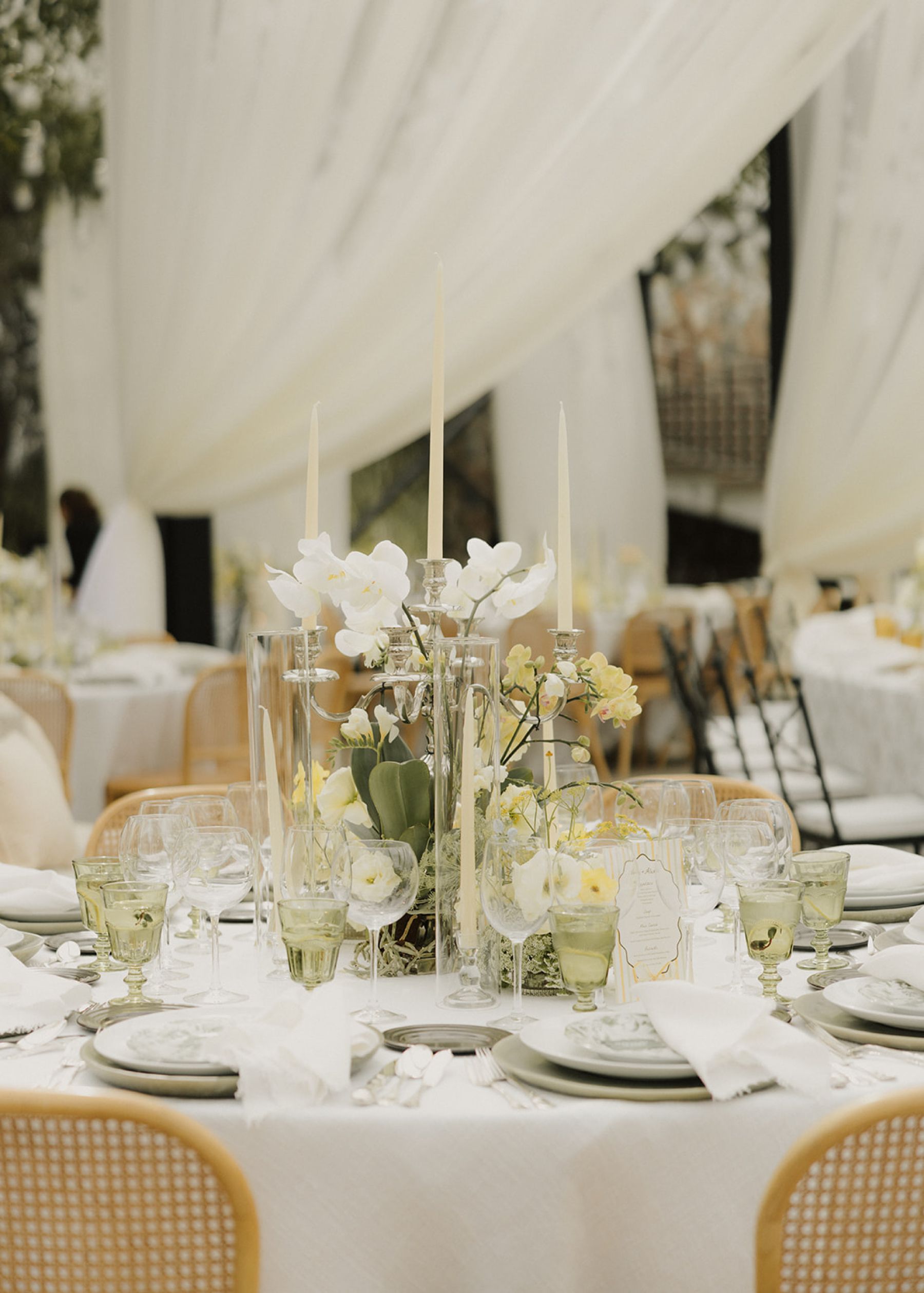 A Garden Party, a Hacienda Chapel, and a Tequila Train: Viviana &amp; Alex's Wedding at Herencia de Allende photo