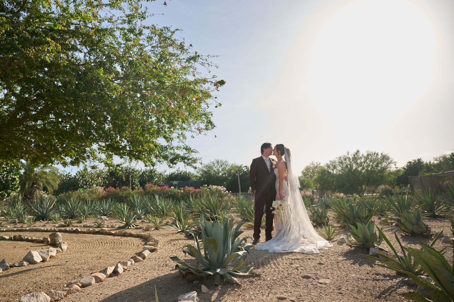 She Manifested Him. Then They Got Married at Acre Resort: Alexa &amp; Alex's Wedding in Cabo photo