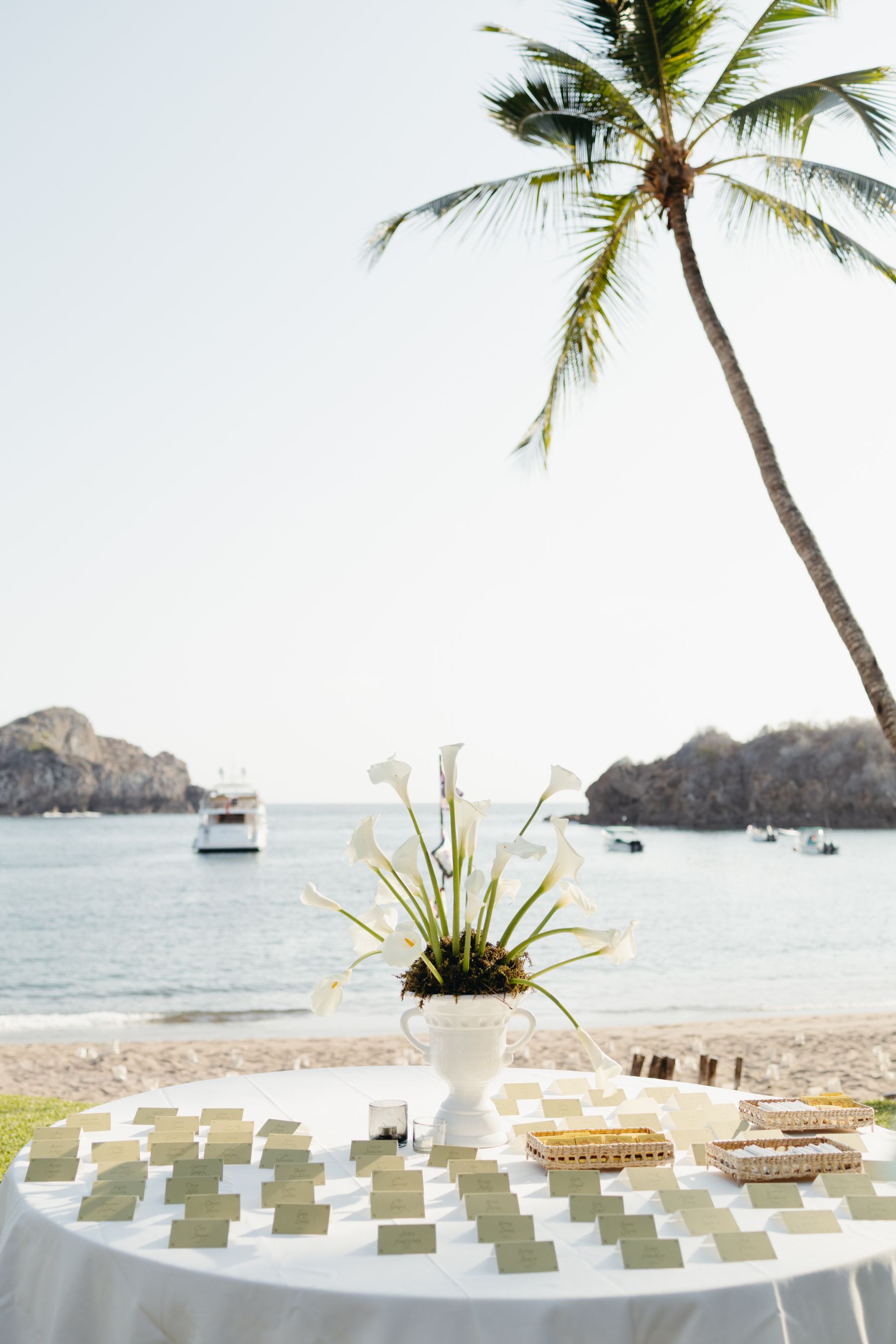 They Said They'd Marry in Their 30s - and He Meant It to the Day: Tali &amp; Remy's Wedding at Careyes photo