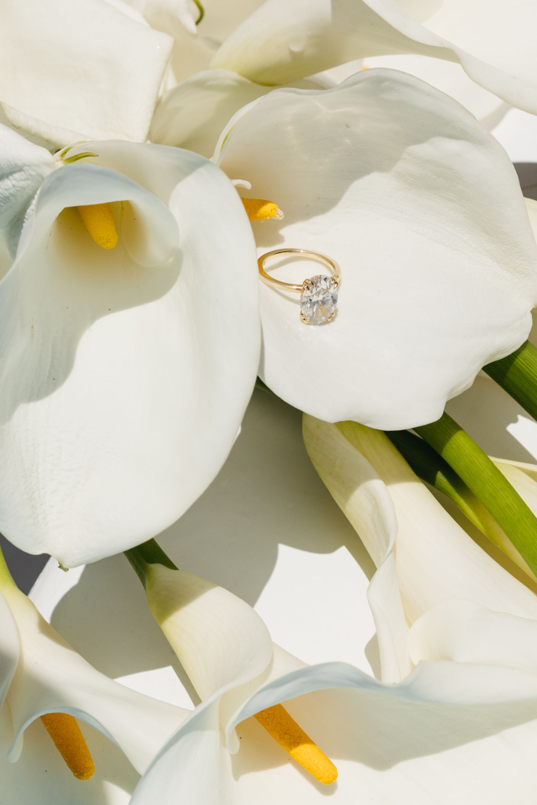 They Said They'd Marry in Their 30s - and He Meant It to the Day: Tali &amp; Remy's Wedding at Careyes photo