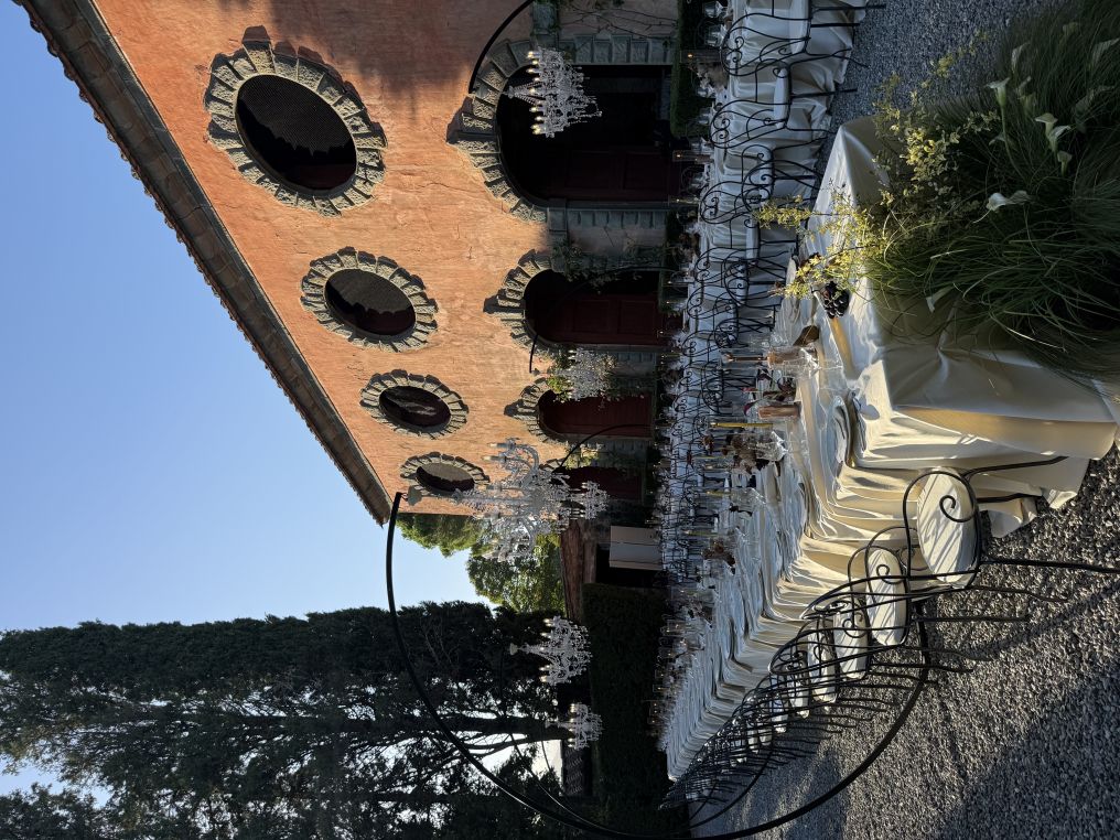 Social Brides Collective