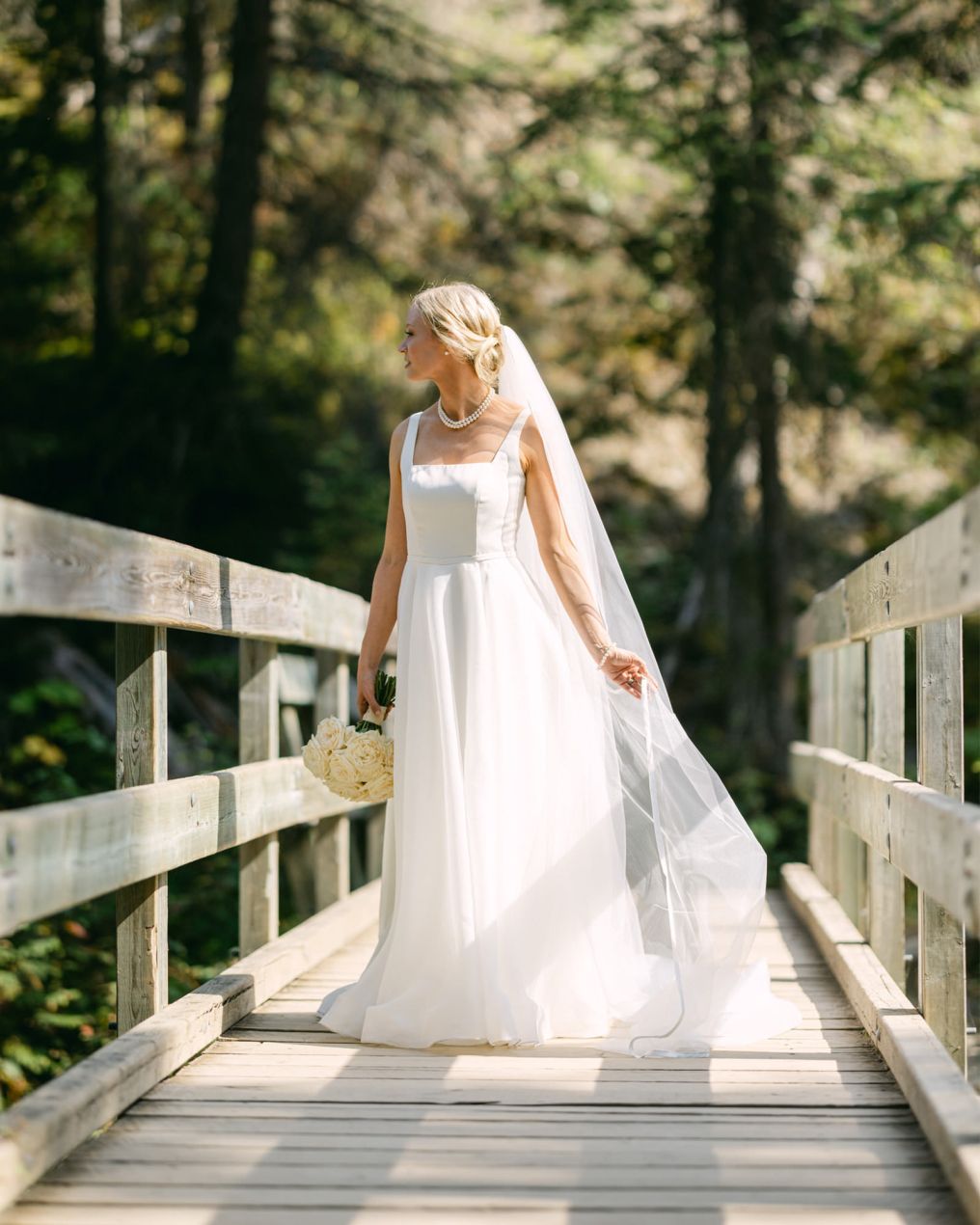 Geoff Wilkings Photographer Geoff Wilkings Photographer photo