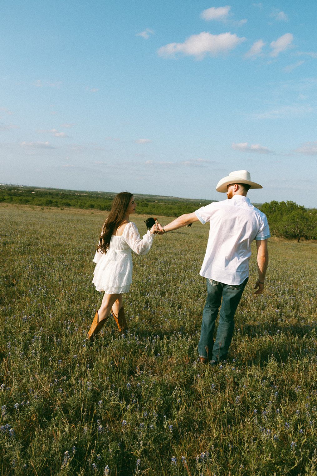 Wild Rose Creative Co.