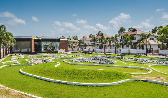 Green Paradise