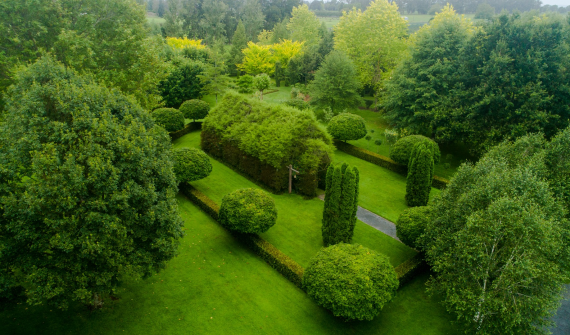 TreeChurch and Gardens