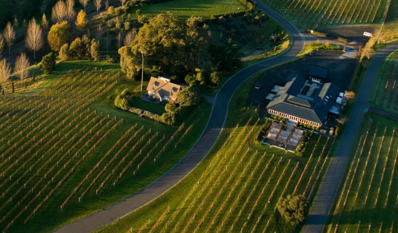 Black Barn Vineyards