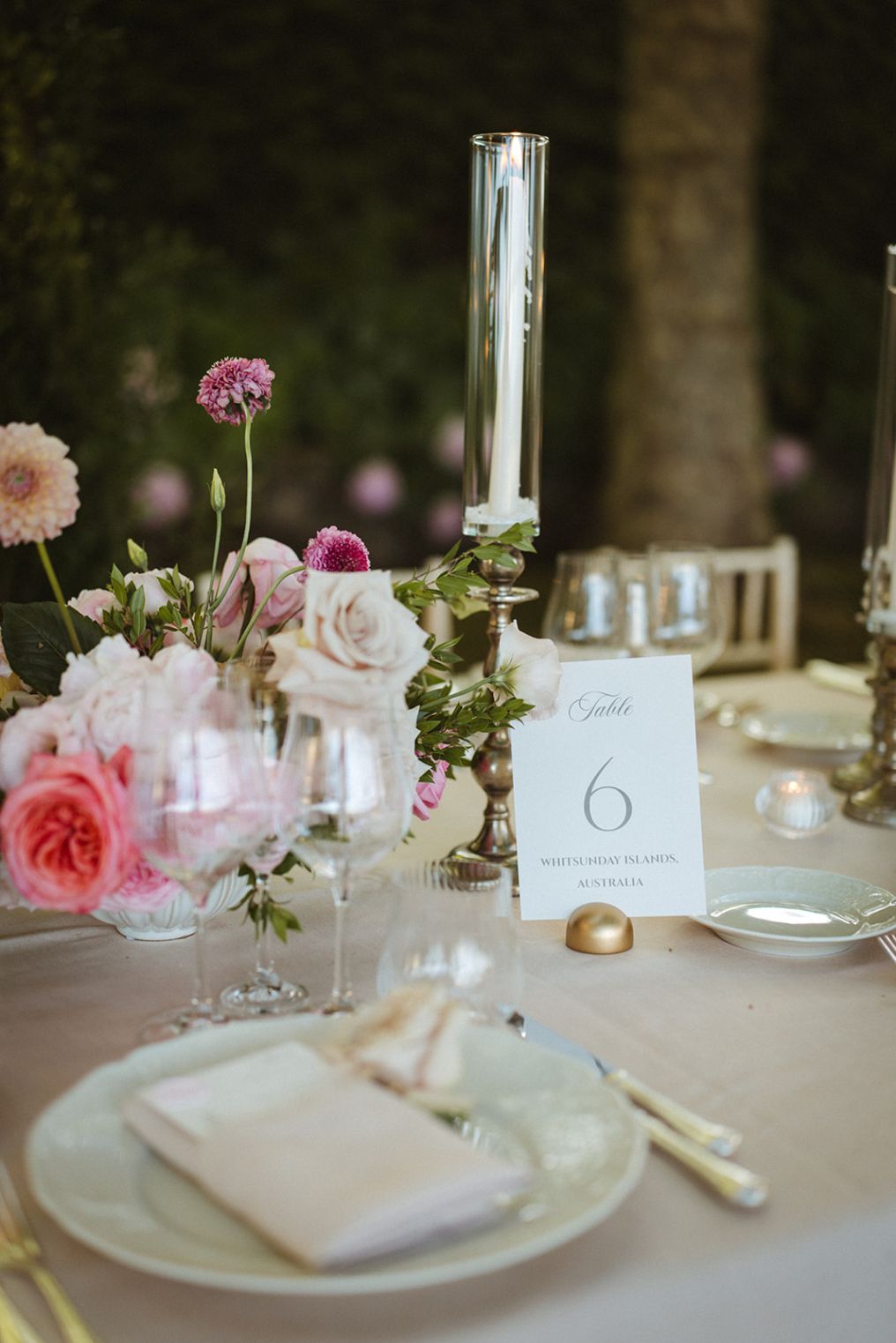 The Wedding Knot by Dashiell