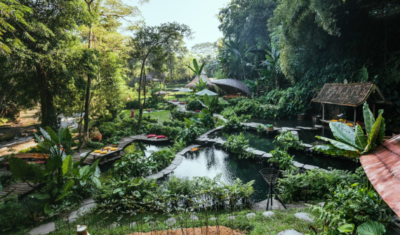 Bambu Indah