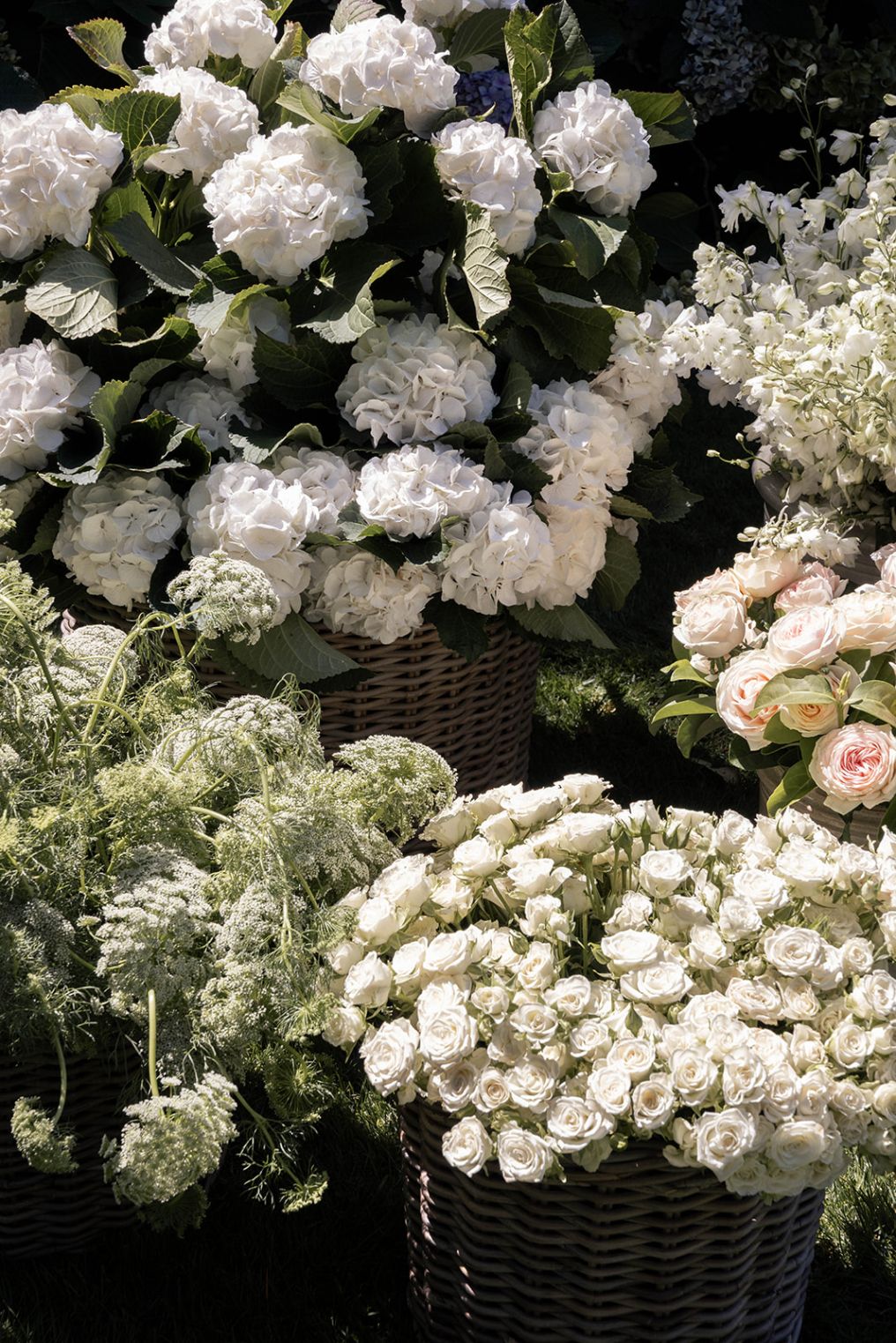 Sabrina Maschke Photographer photo