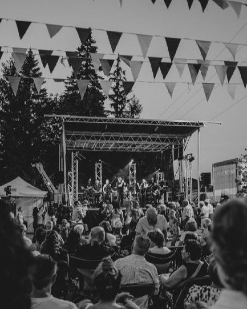 SoulStation Orchestra Wedding Bands