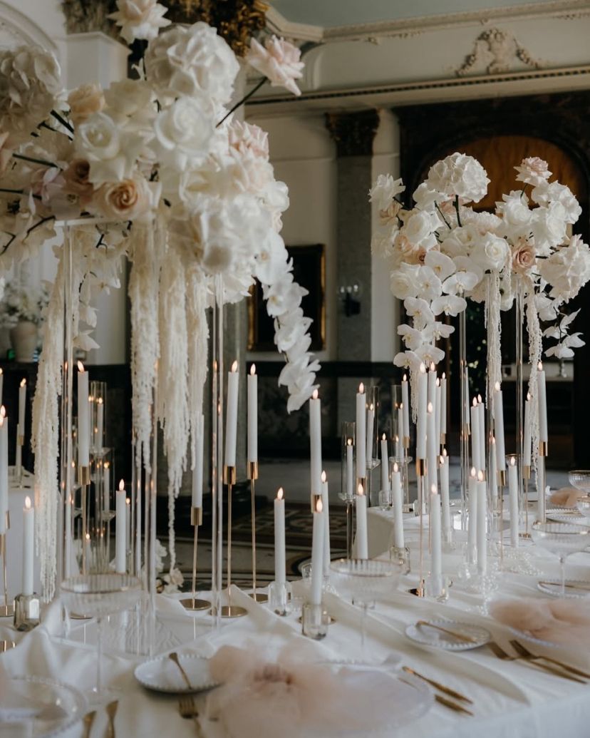 Carol Ventriglia Photographer