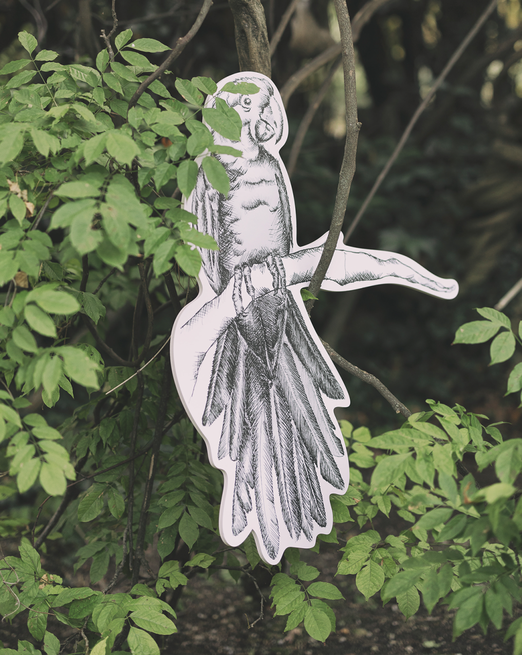 Bluemilia Planner photo