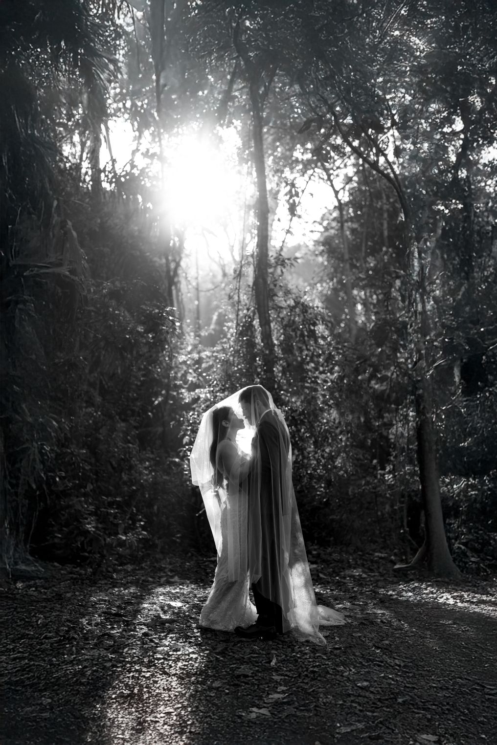 Guedes Photographer photo