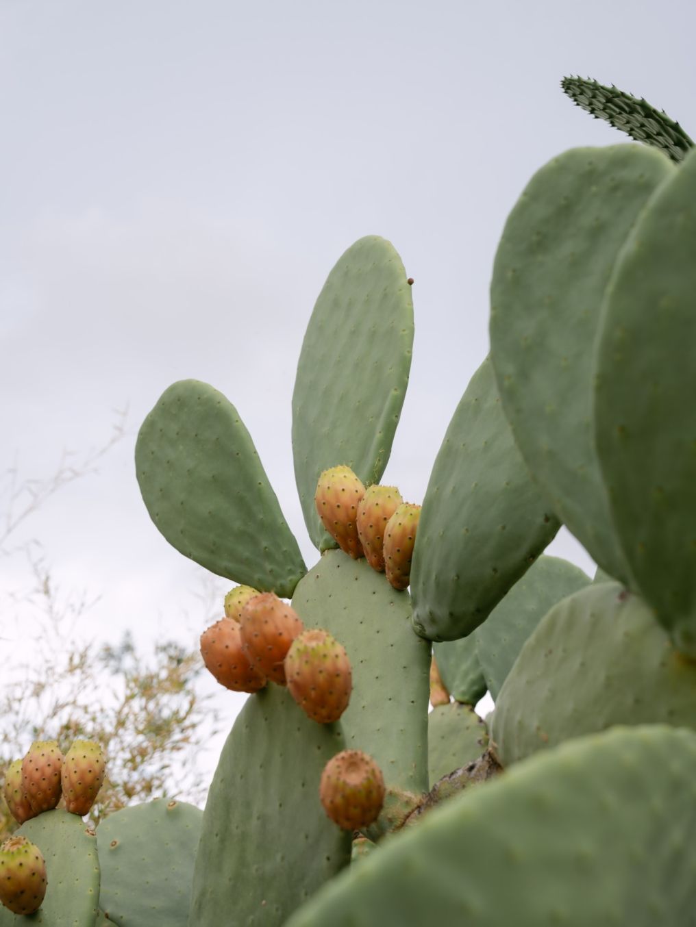 Masseria Alchimia Venue photo