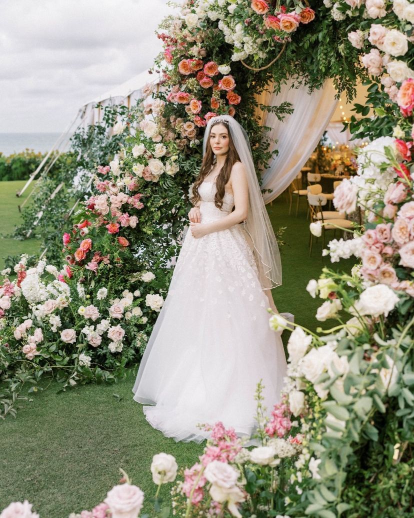 Pineapple Videographer