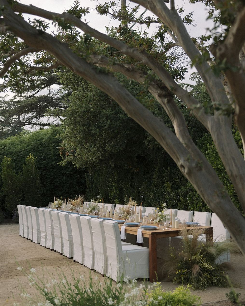 Little Nostalgic Moments