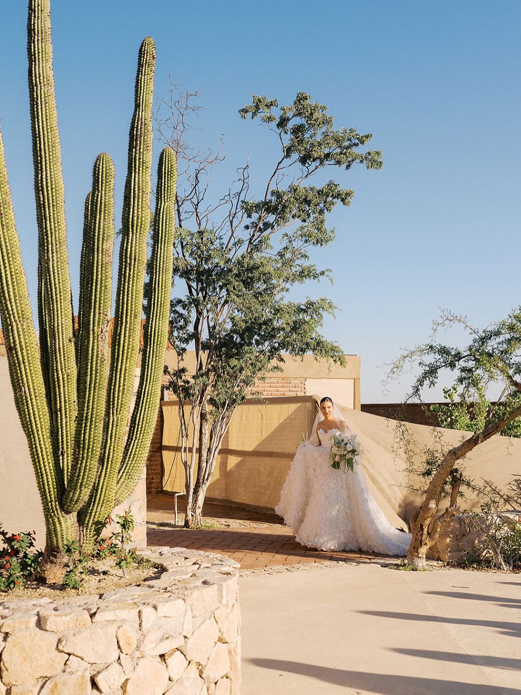 Monte Cardón Venue photo