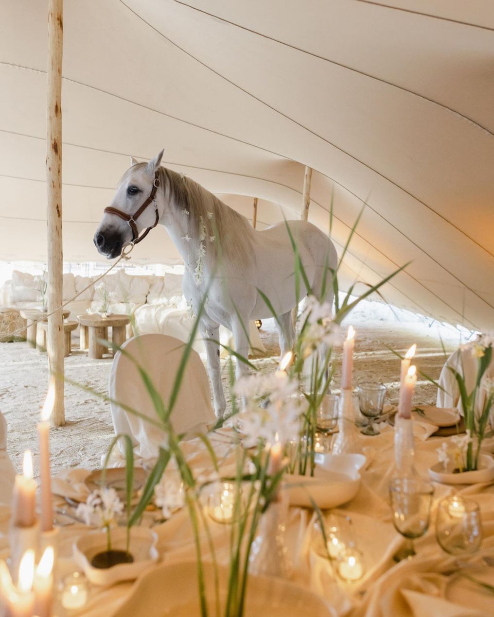 Puerto Raiz Venue photo