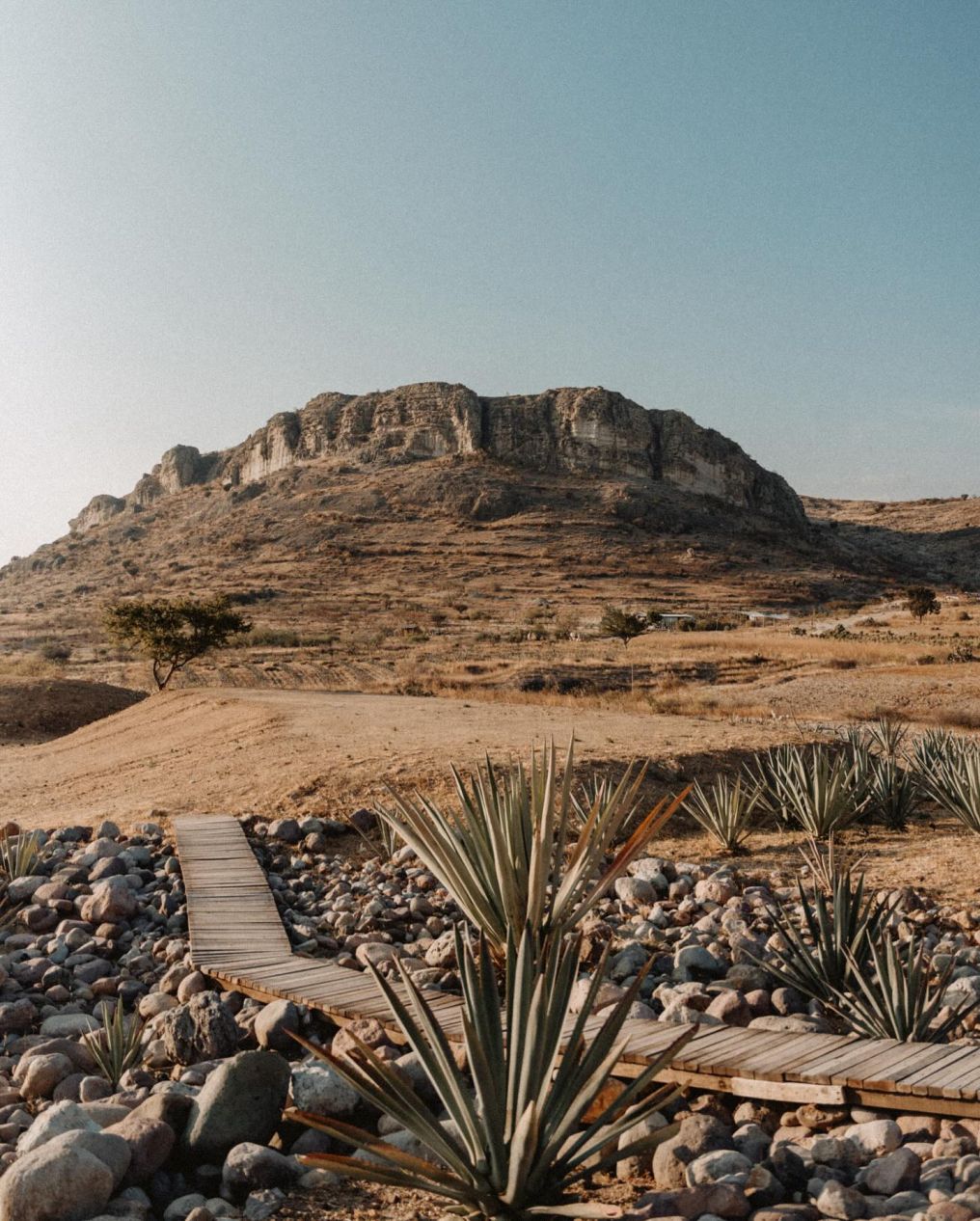 Casa Silencio Venue photo