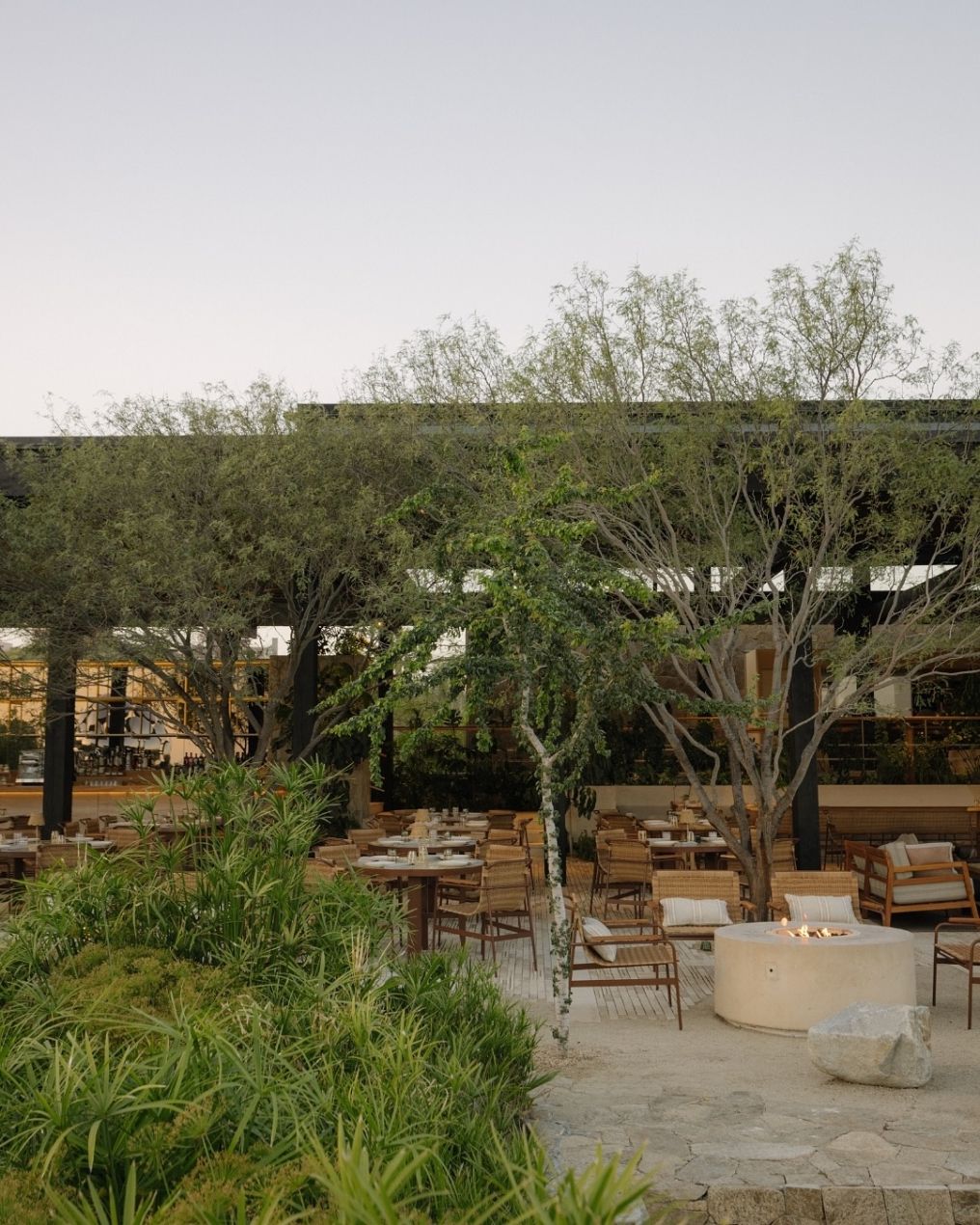 Ballena Cabo Venue photo