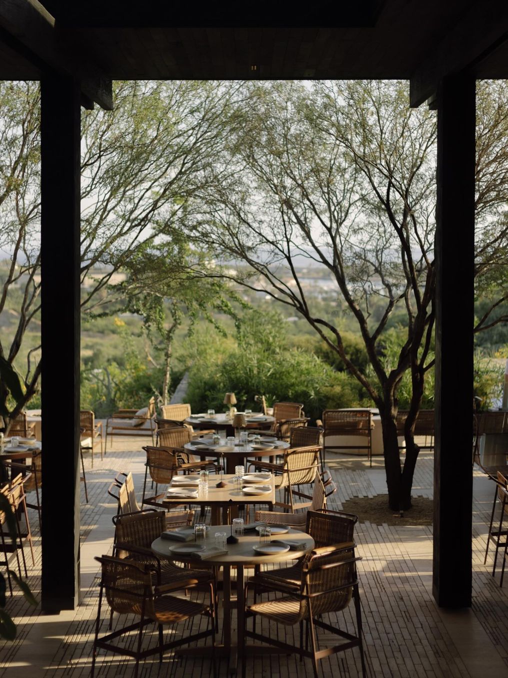 Ballena Cabo Venue photo