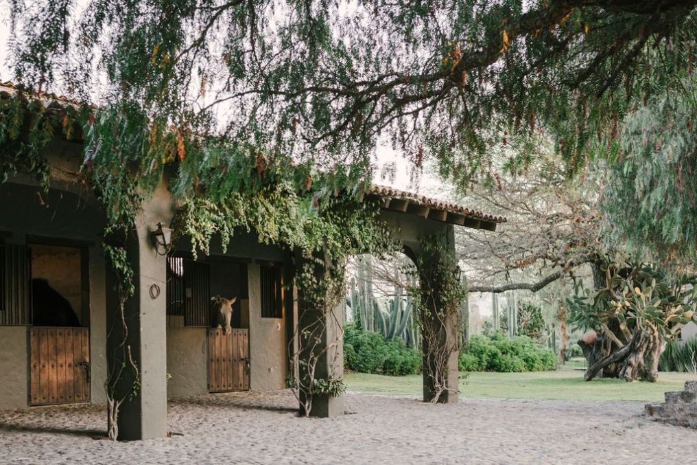 Rancho Sol Dorado Venue photo