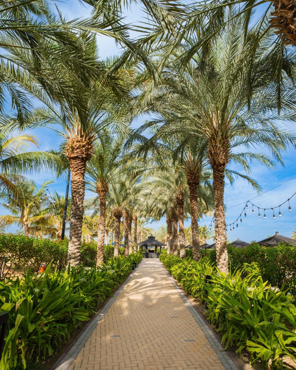 Le Royal Méridien Beach Resort & Spa Venue photo