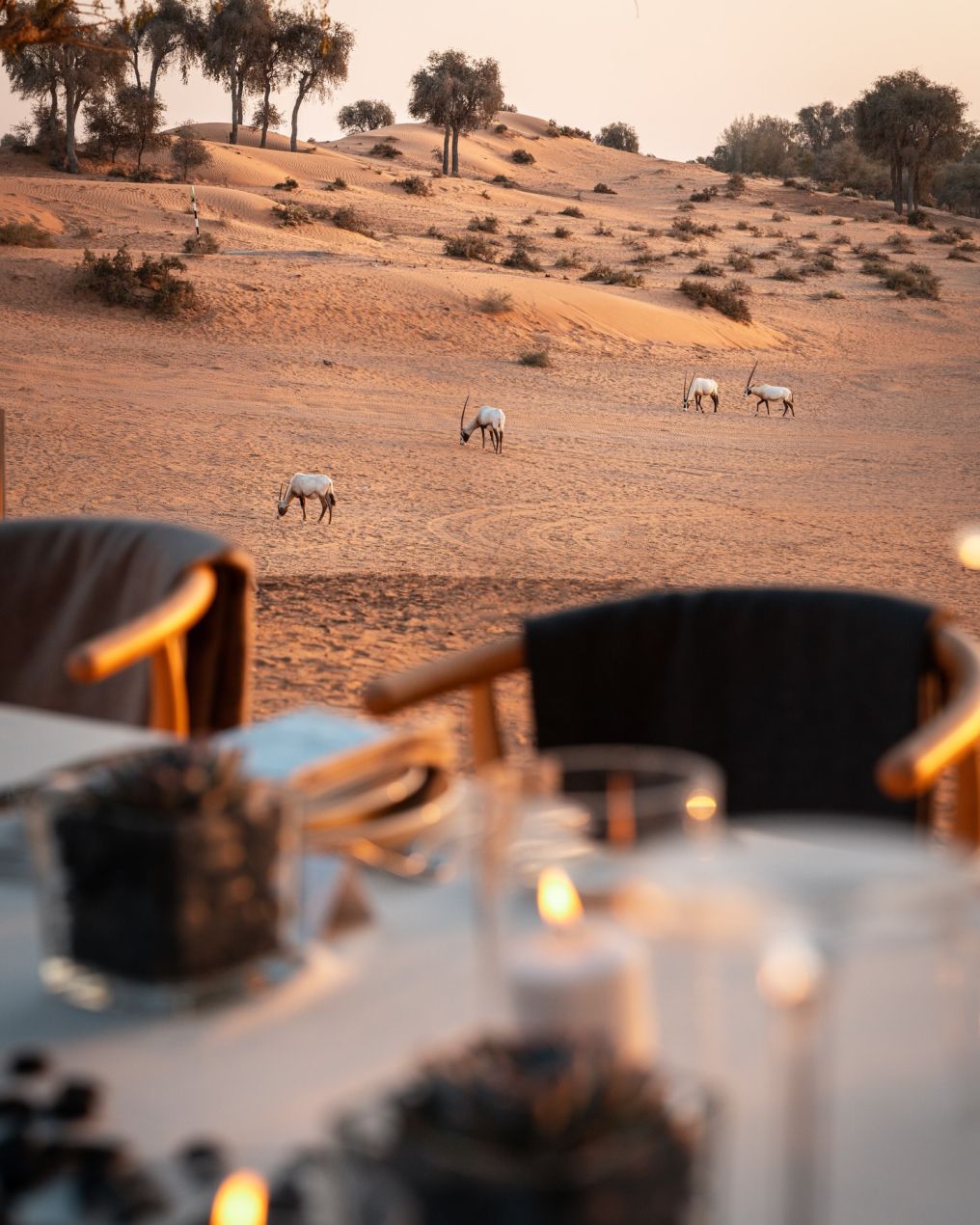 The Ritz-Carlton Ras Al Khaimah, Al Wadi Desert