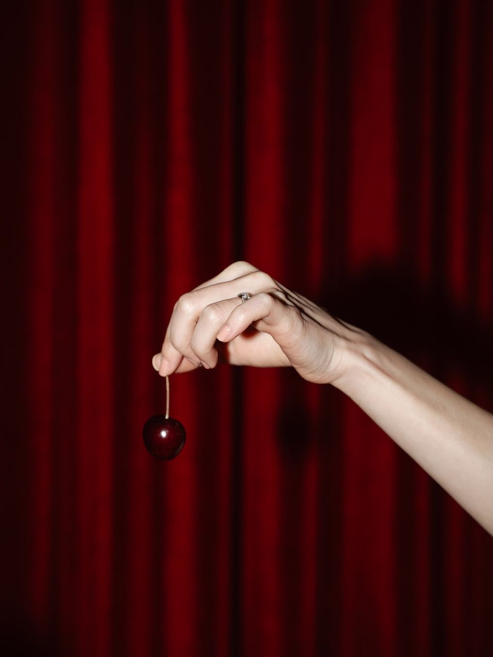 Lorryn Smit Photographer photo