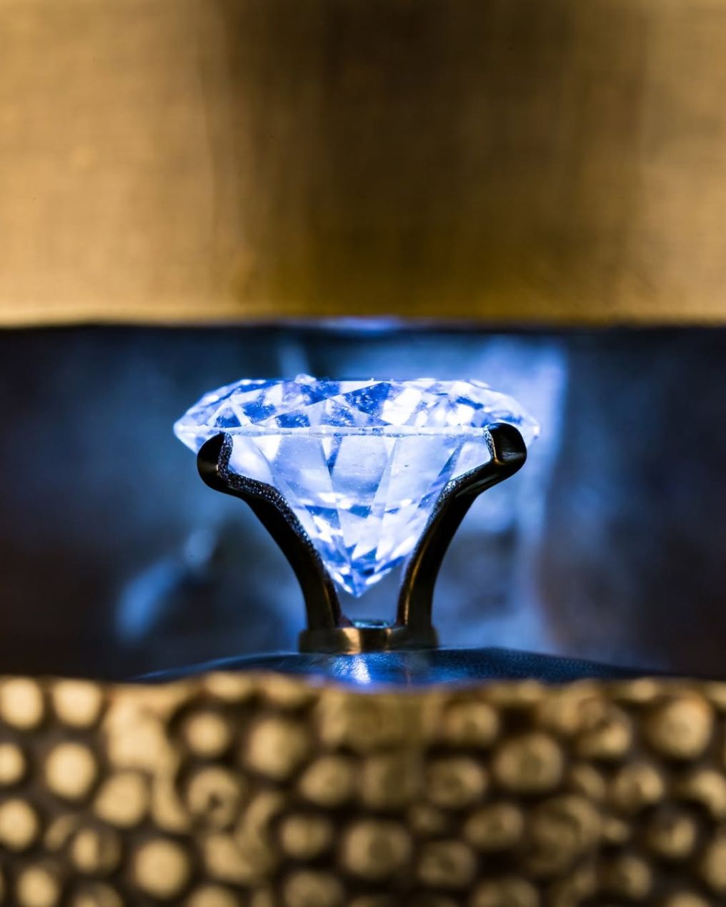 Hillman & stark srl Caterer photo