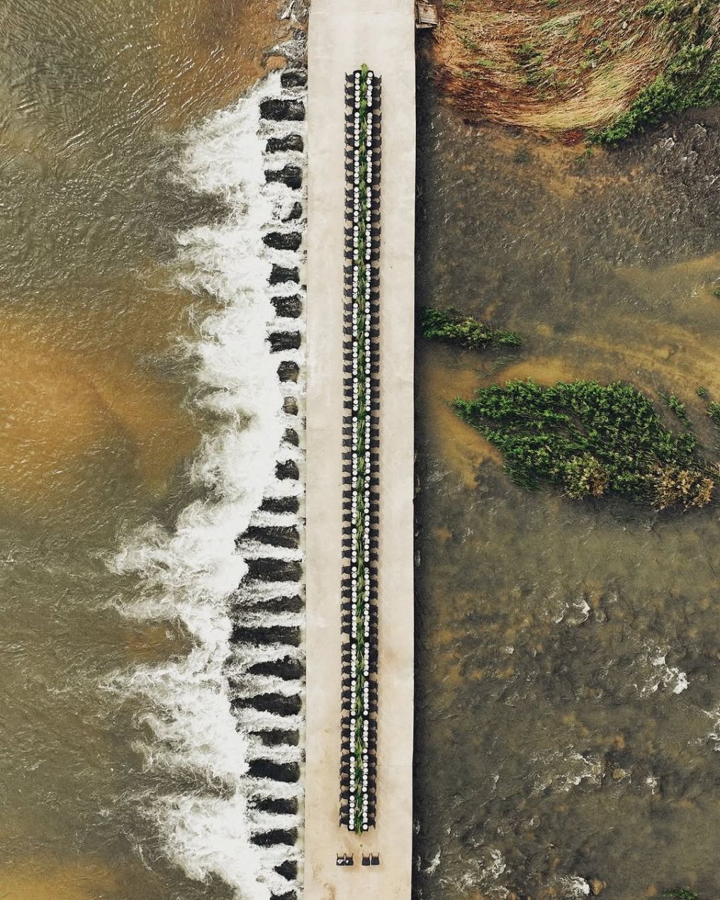 Ryohan + Anne Jang Planner photo