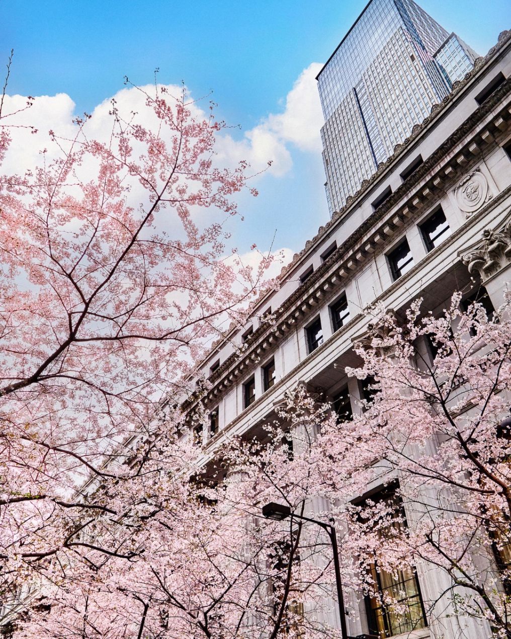 Mandarin Oriental, Tokyo Venue photo