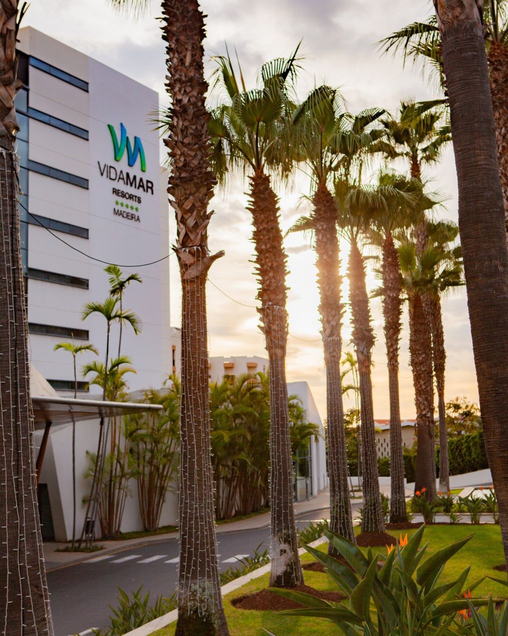 VidaMar Hotels & Resorts Venue photo